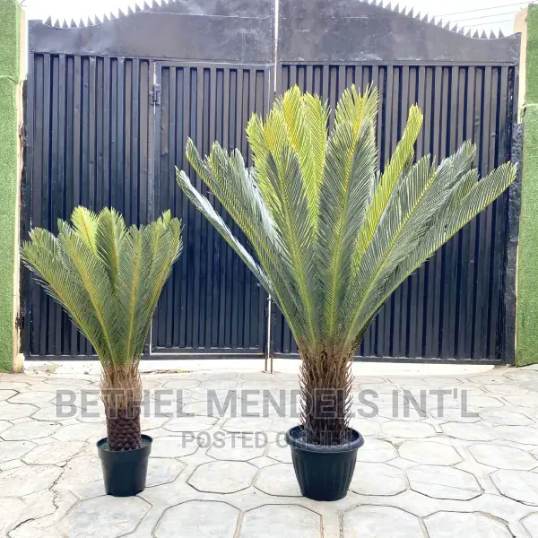 Artificial Plants | Wholesales of Fake 90cm Cycas Palms
