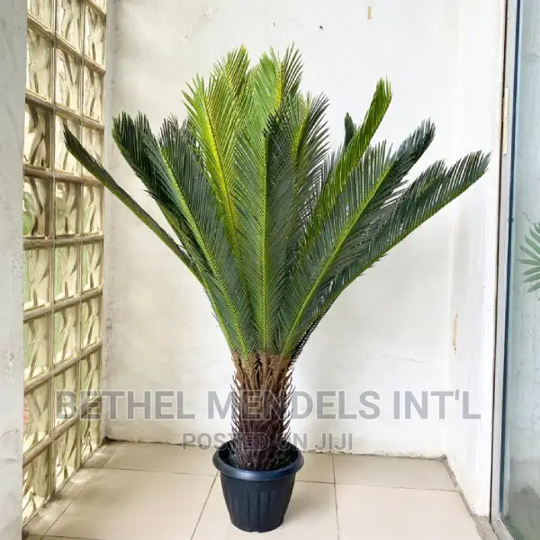 Artificial Palm Plants |Bulk Sales of Fake Plants and Trees