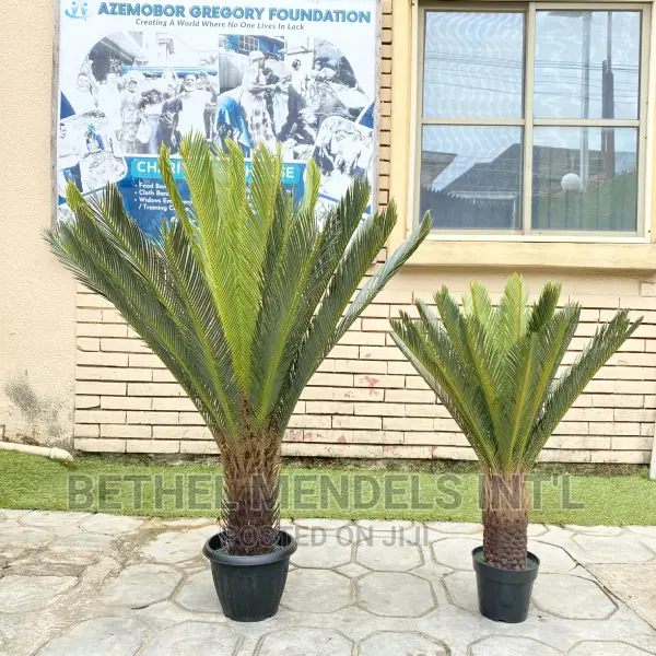 Artificial Palm Plants |Bulk Sales of Fake Plants and Trees