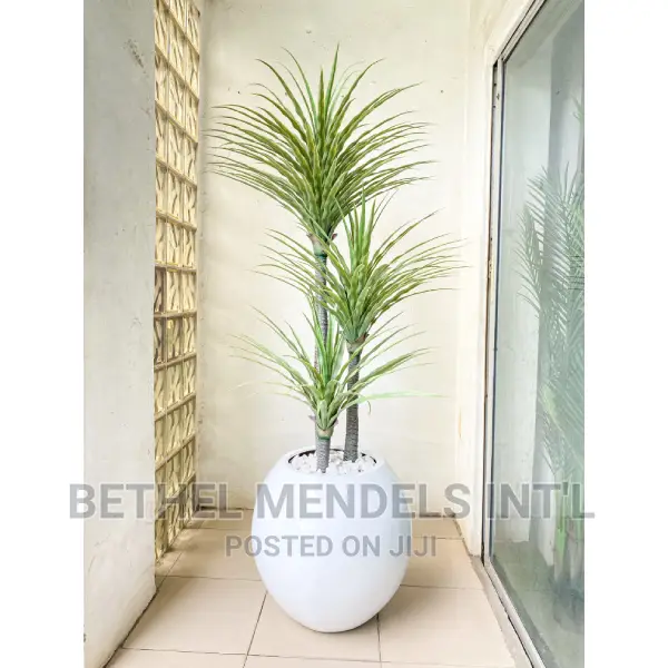Artificial Yucca Plants and Fiberglass Flower Pot/Vase