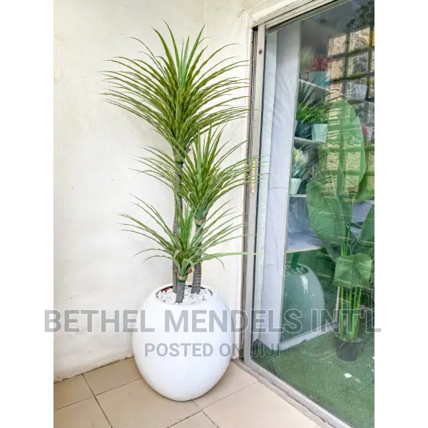 Artificial Yucca Plants and Fiberglass Flower Pot/Vase