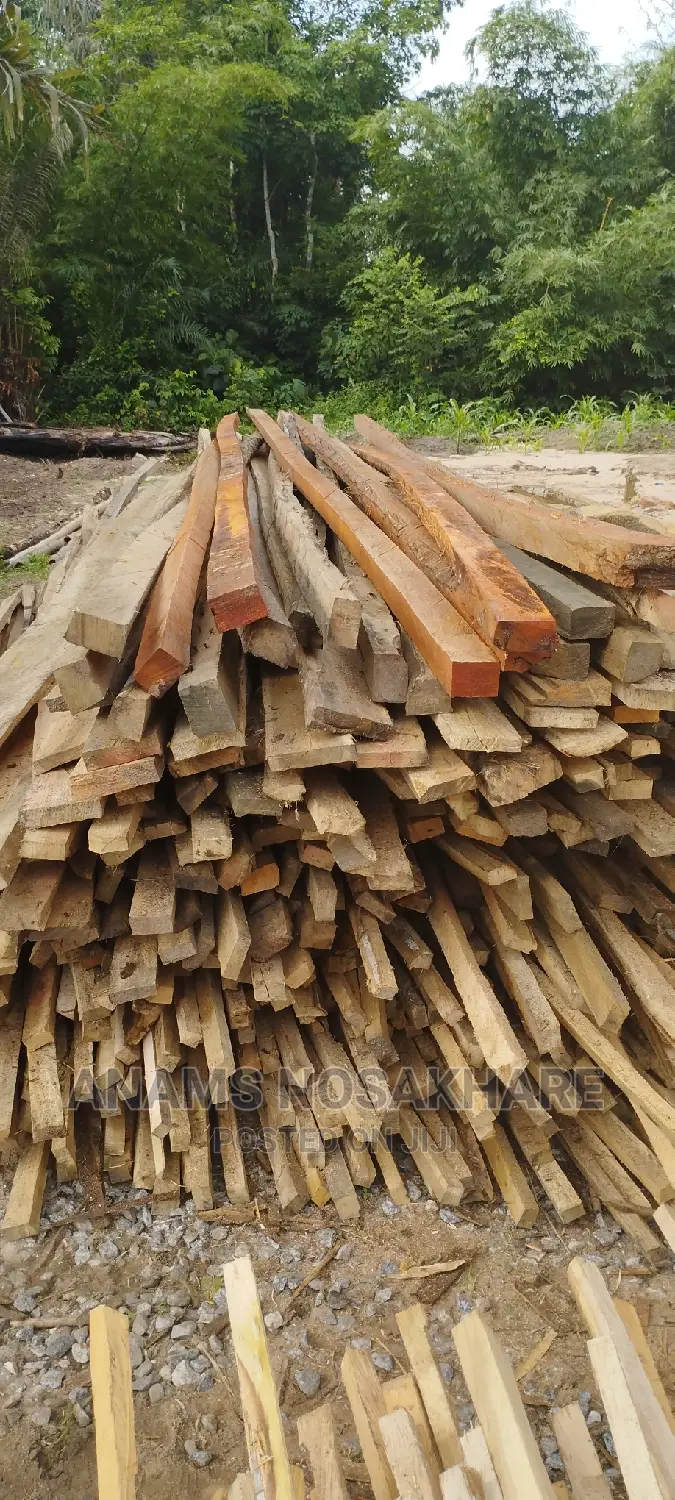 Nosakhare Woods