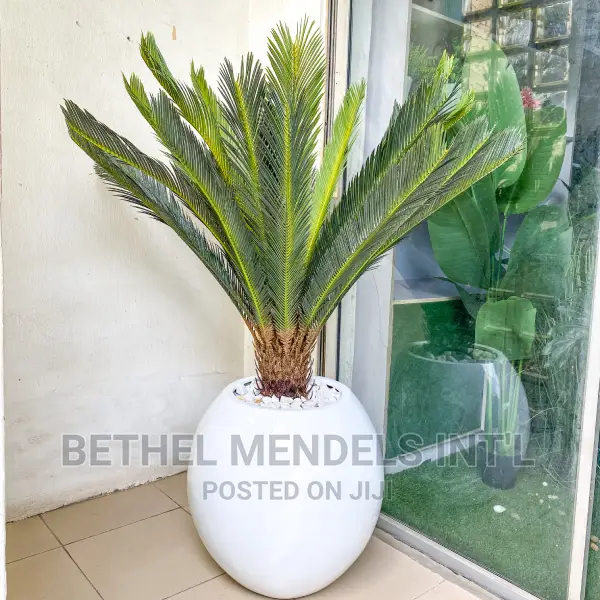 Artificial Plants Bulk Sales | Fiberglass Pots Combos