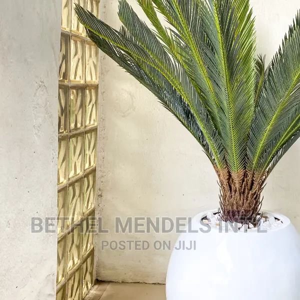 Artificial Plants Bulk Sales | Fiberglass Pots Combos