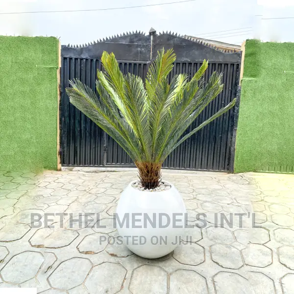 Artificial Plants Bulk Sales | Fiberglass Pots Combos