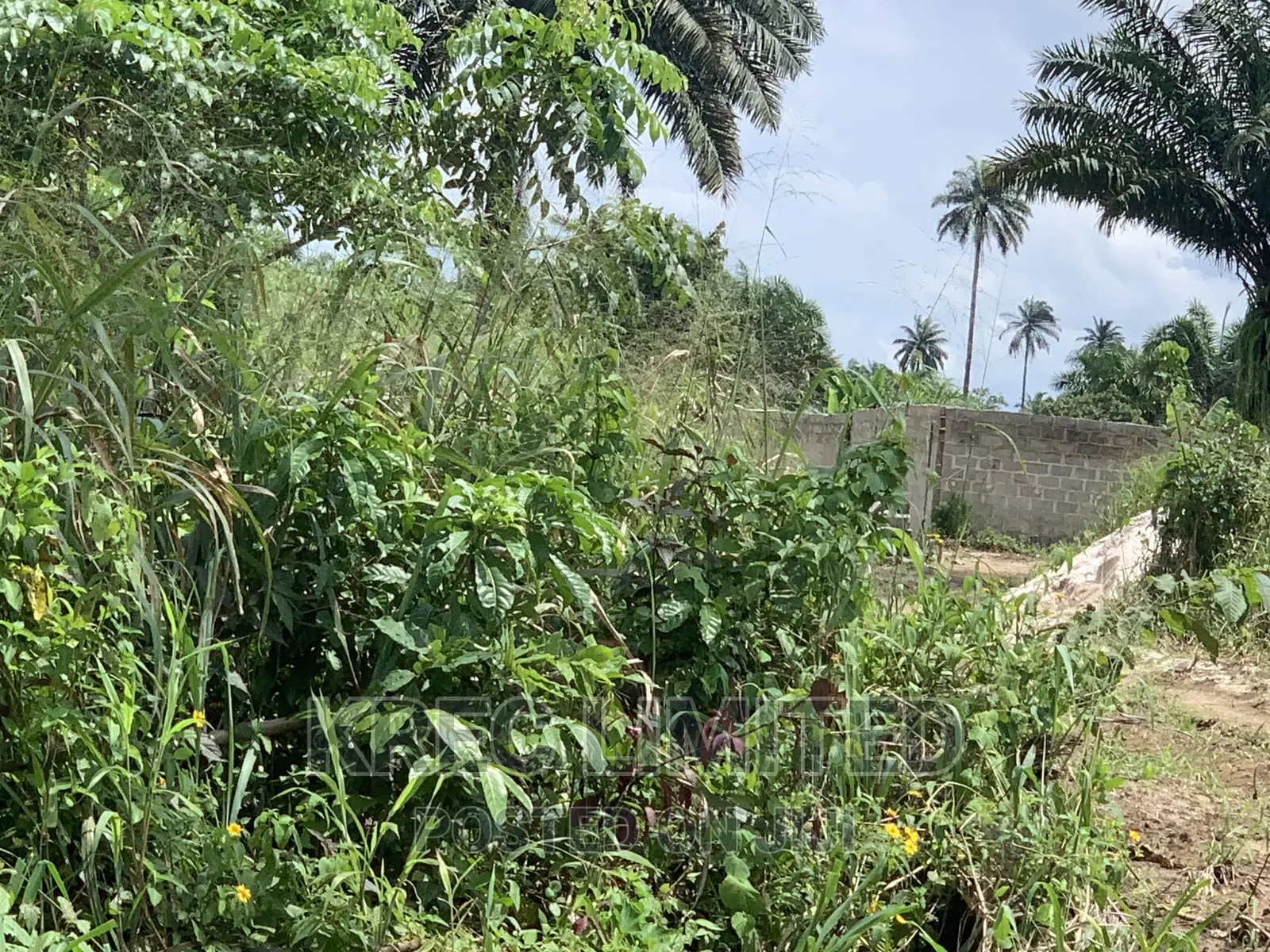 50plots Behind Rsu Campus Abara