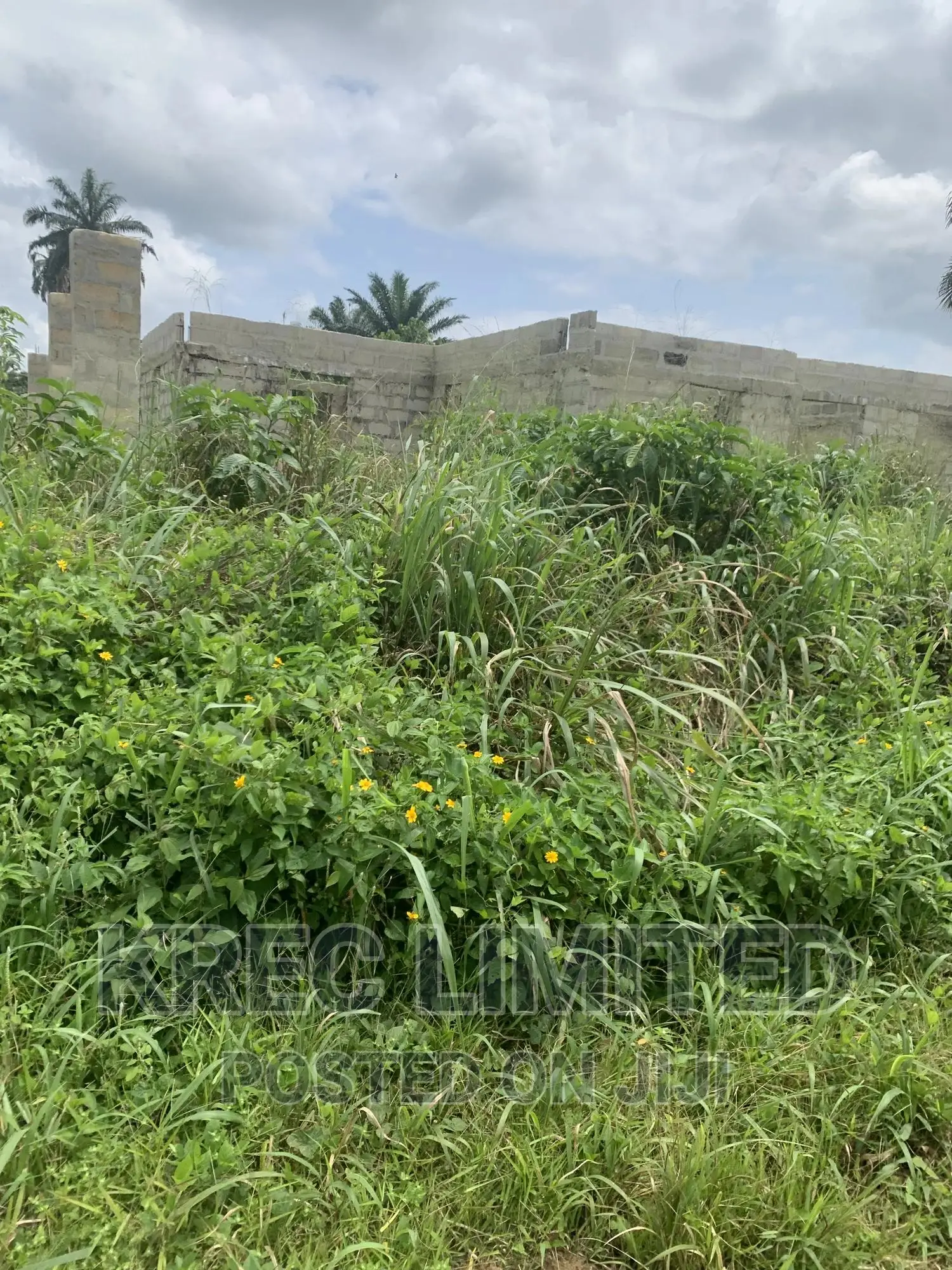 50plots Behind Rsu Campus Abara