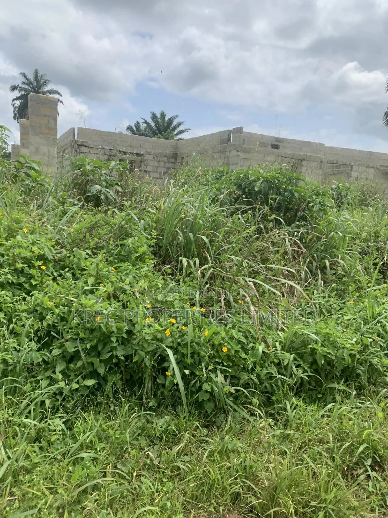 50plots Behind Rsu Campus Abara