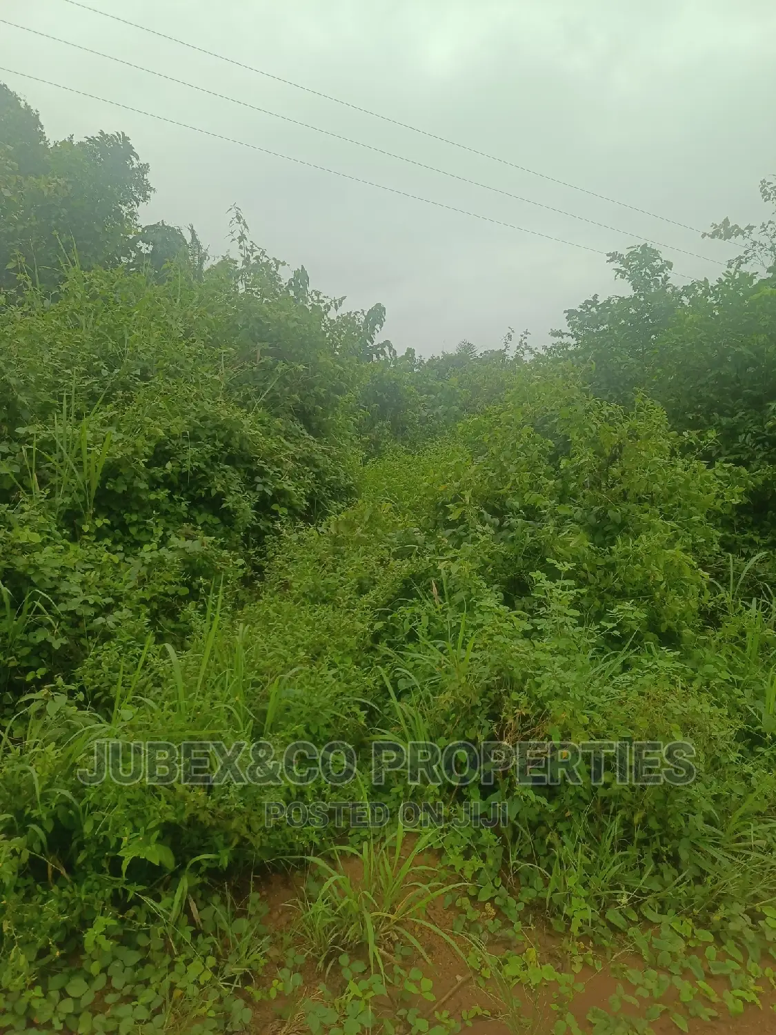 2 Plot for Sale at Itori