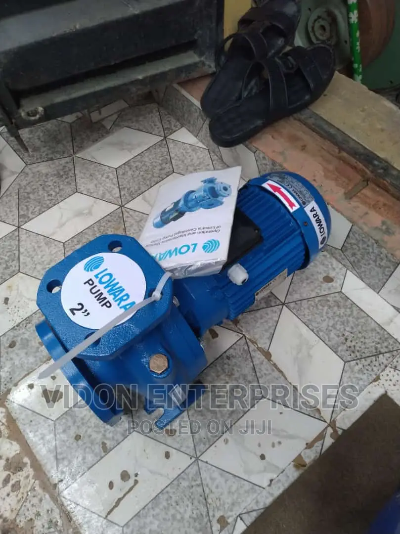 Lowara Water Pump