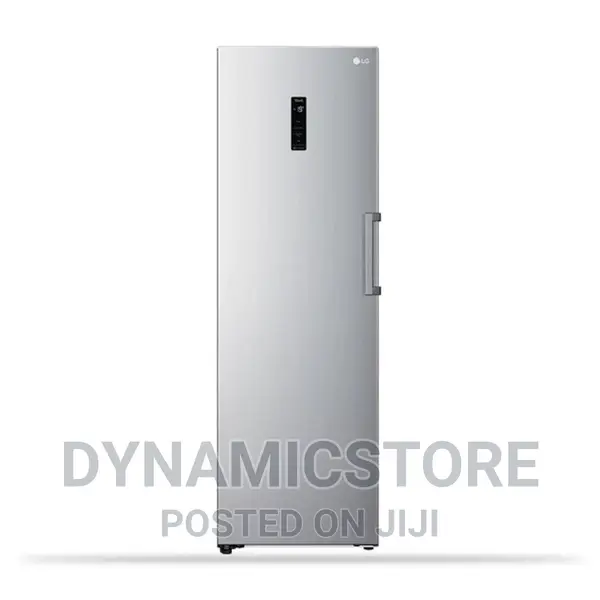 Lg Gc-B414elfm 355l Standing Freezer