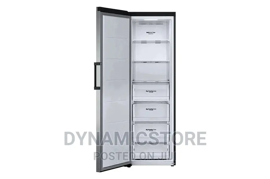 Lg Gc-B414elfm 355l Standing Freezer