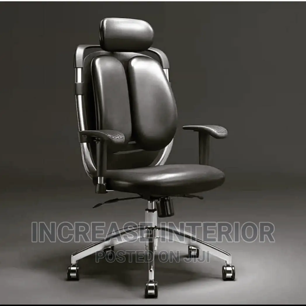 Executive Officechair With Lumbar Support and Adjusted Hand