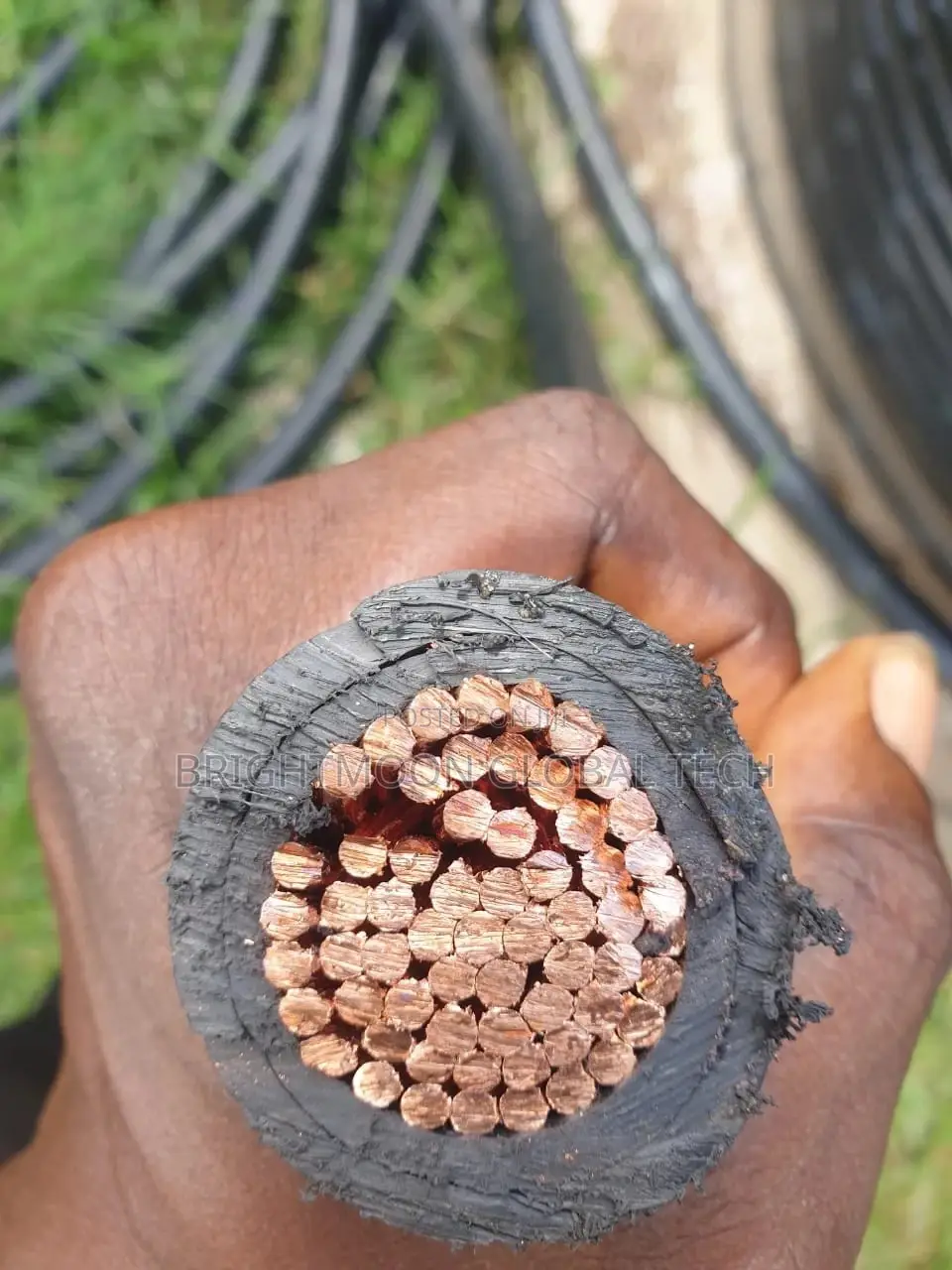 500mm Single Core Nigerchin PVC PVC 2