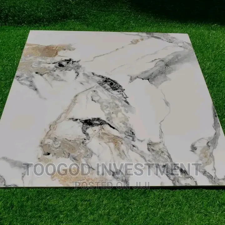60*60 Super Polish Tiles, Parlor and Dinning