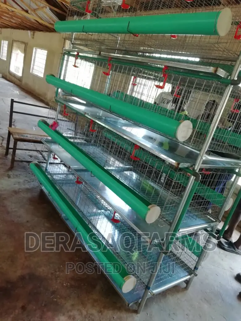 Four (4) Step Broiler Cage With There Automatic Drinker