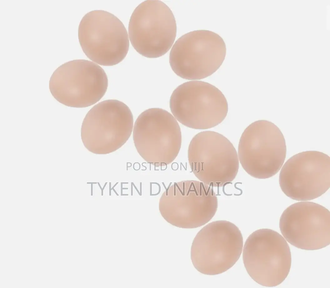 30pcs Playhouse Chicken Eggs Toys
