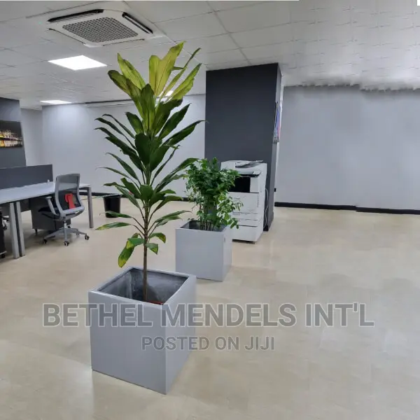 Fiberglass Flower Pot/Vase/ Planters Potted With Live Plants