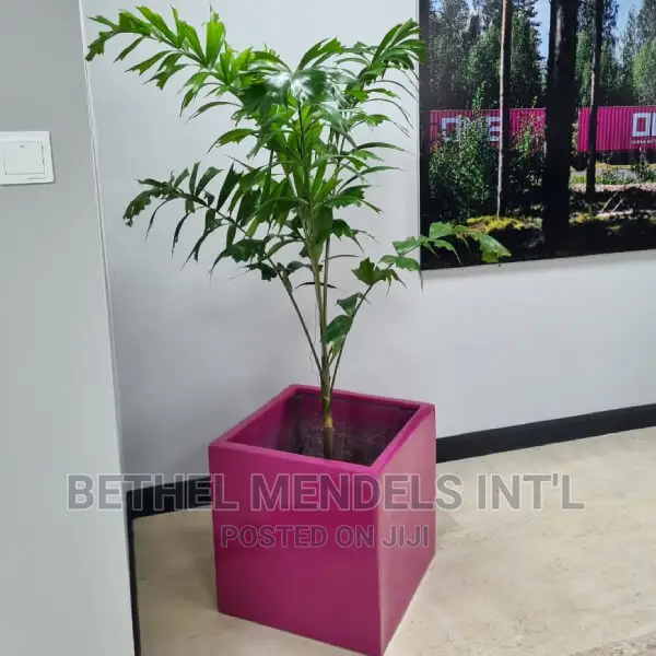Fiberglass Flower Pot/Vase/ Planters Potted With Live Plants