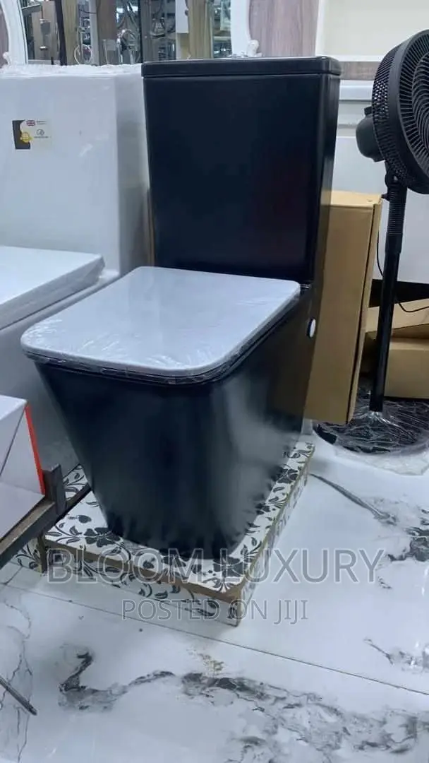 Matte Black Water Closet 