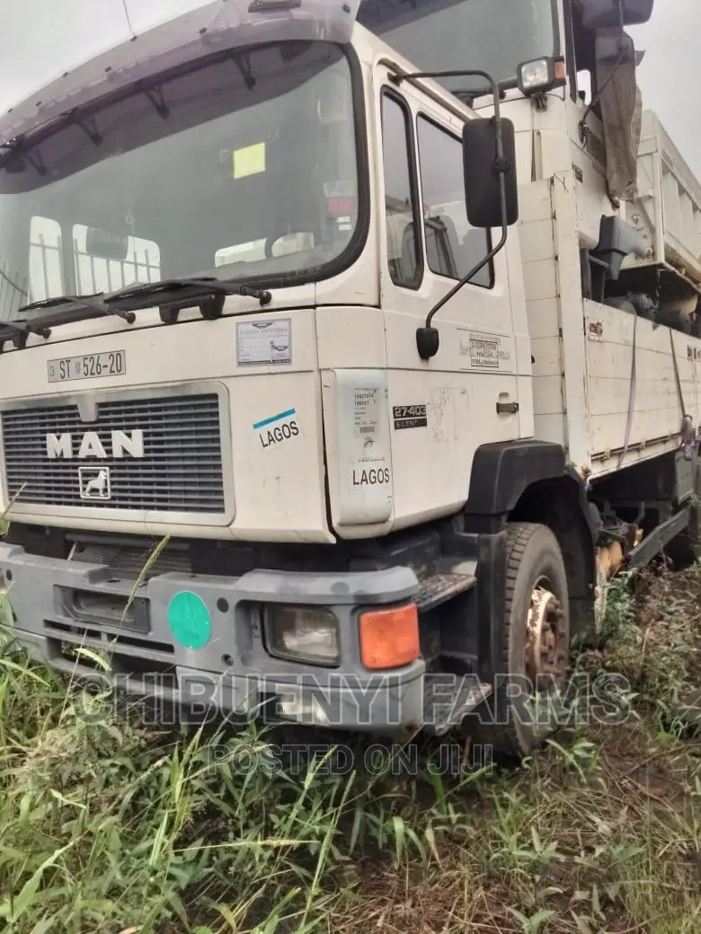 Man Diesel 10 Tyres (Spring-Spring)