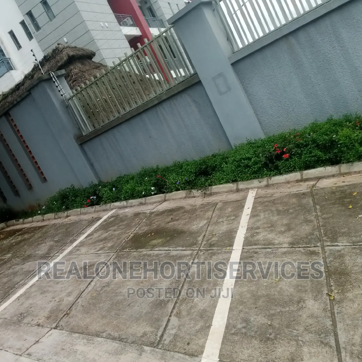 Landscape Plants for Homes, Hotels, Estate Driveway