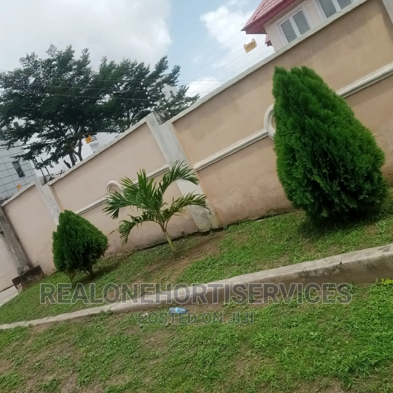 Landscape Plants for Homes, Hotels, Estate Driveway