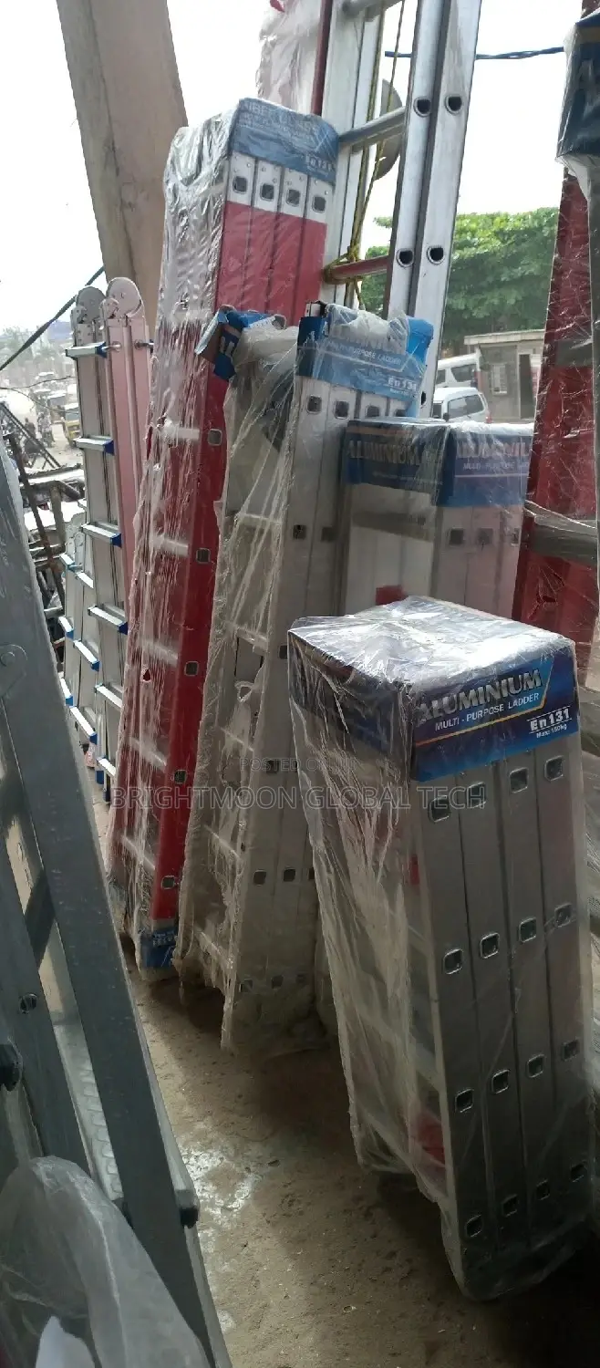 All Kinds of Ladder 2