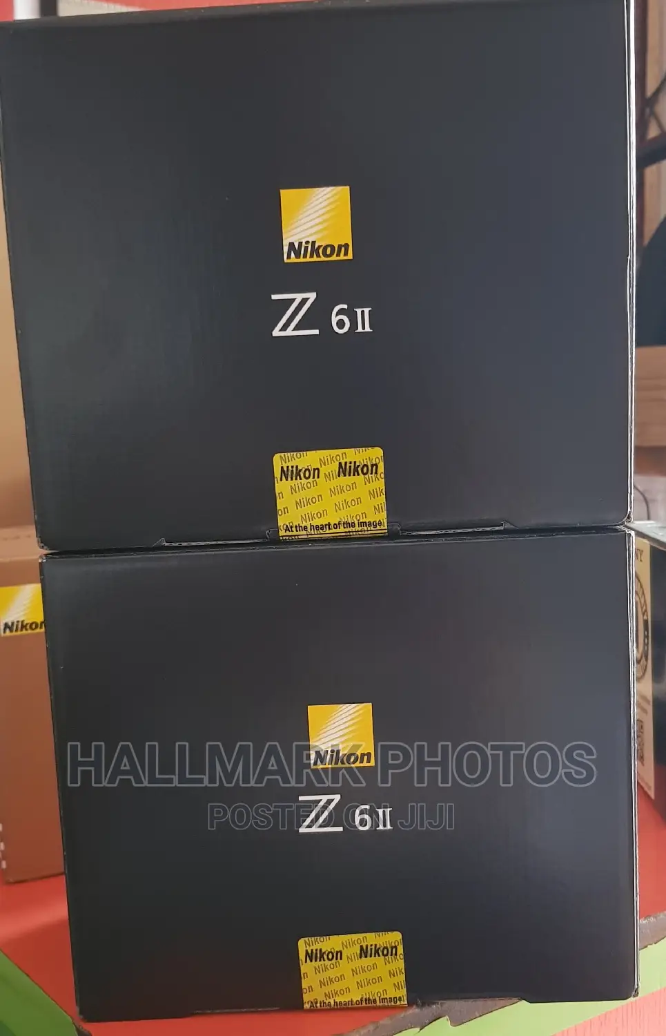 Nikon Z6ii Mirroless Camera