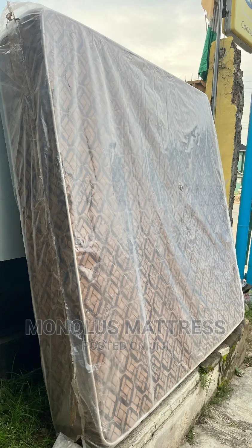 6 by 6 by 12 Inches Royal Foam Gallant Plus