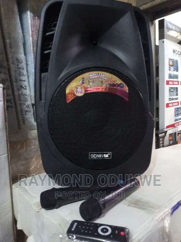 15 Inches Bluetooth Speaker PA System With Wireless Mics