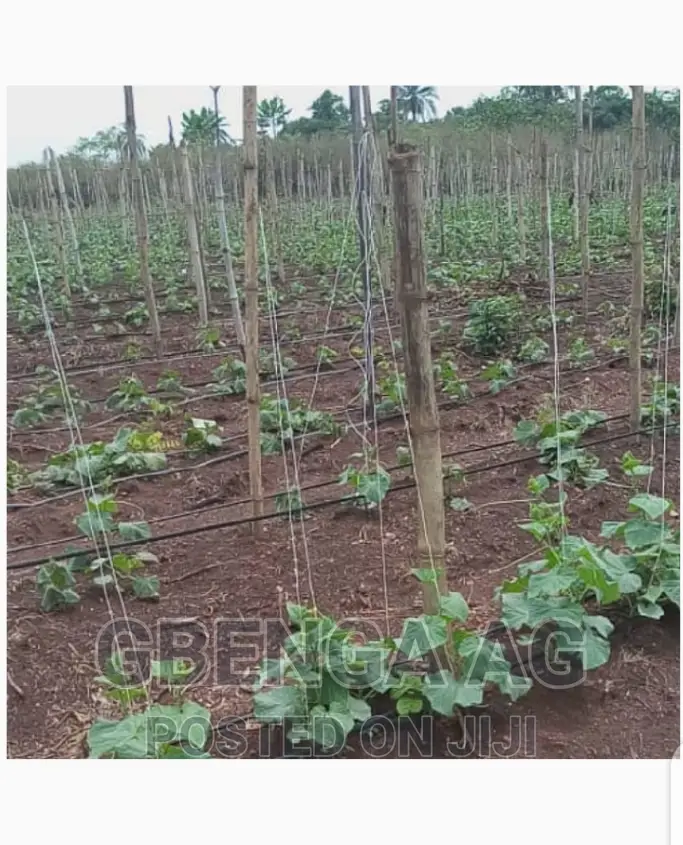 Farmland for Sale at Siun Ogun State
