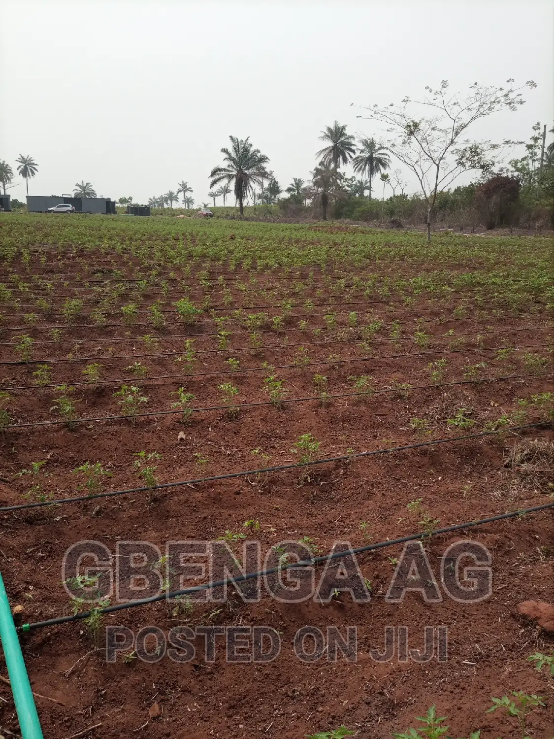 Farmland for Sale at Siun Ogun State