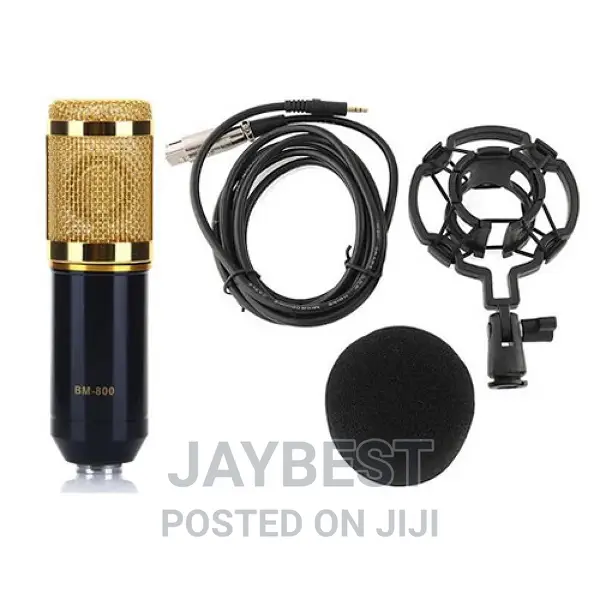 BM800 Microphone