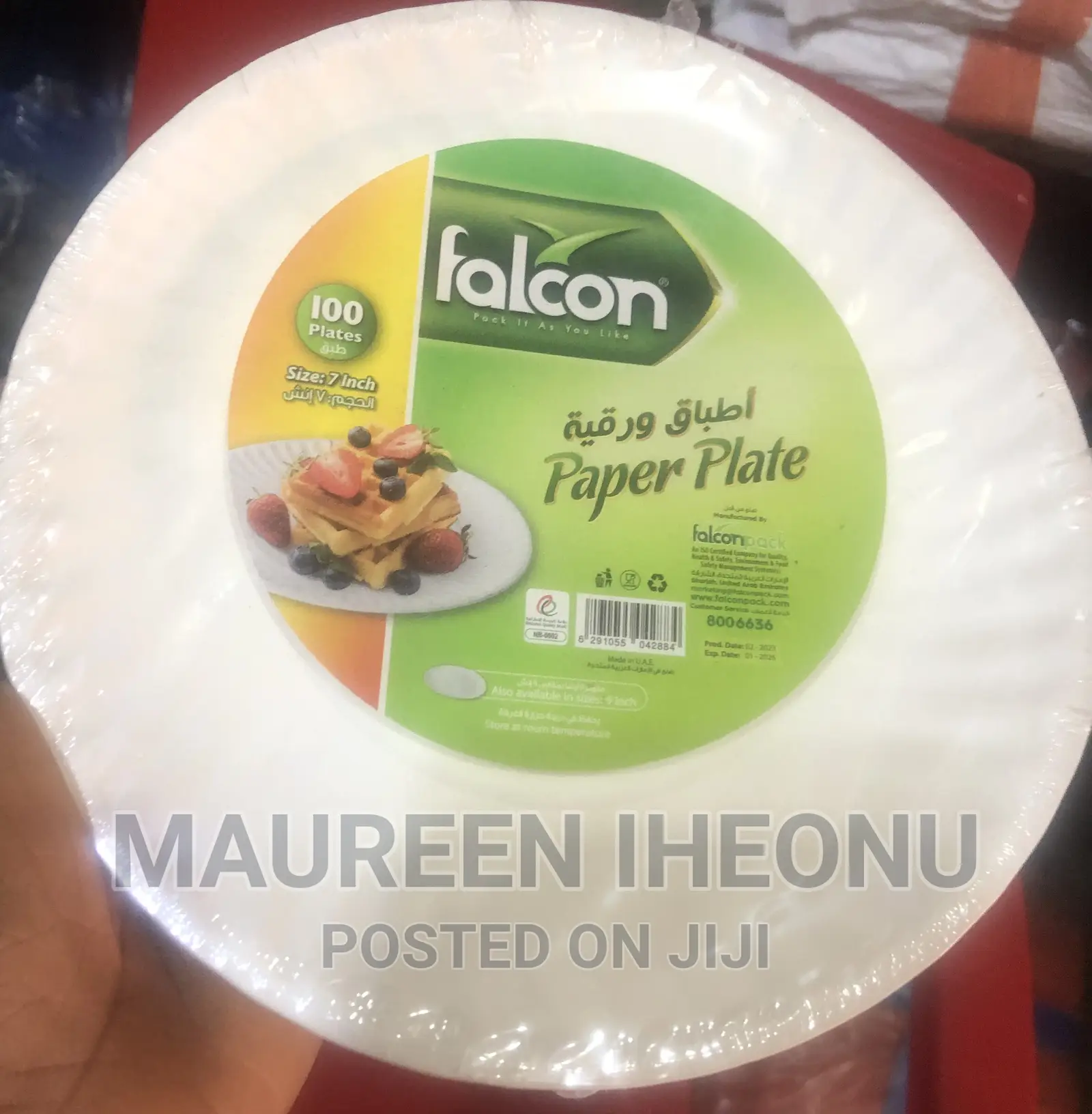Paper Plate (Big Size) - A Pack of 100pcs