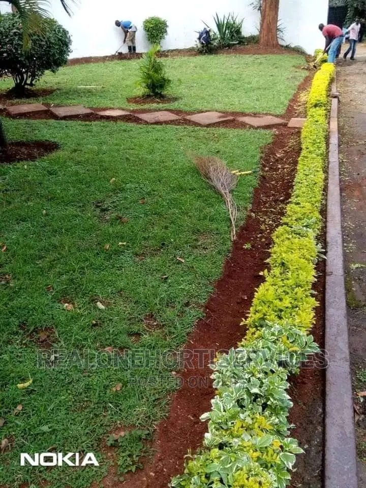 Landscape Plants (Ornamental) for Your Habitable Living