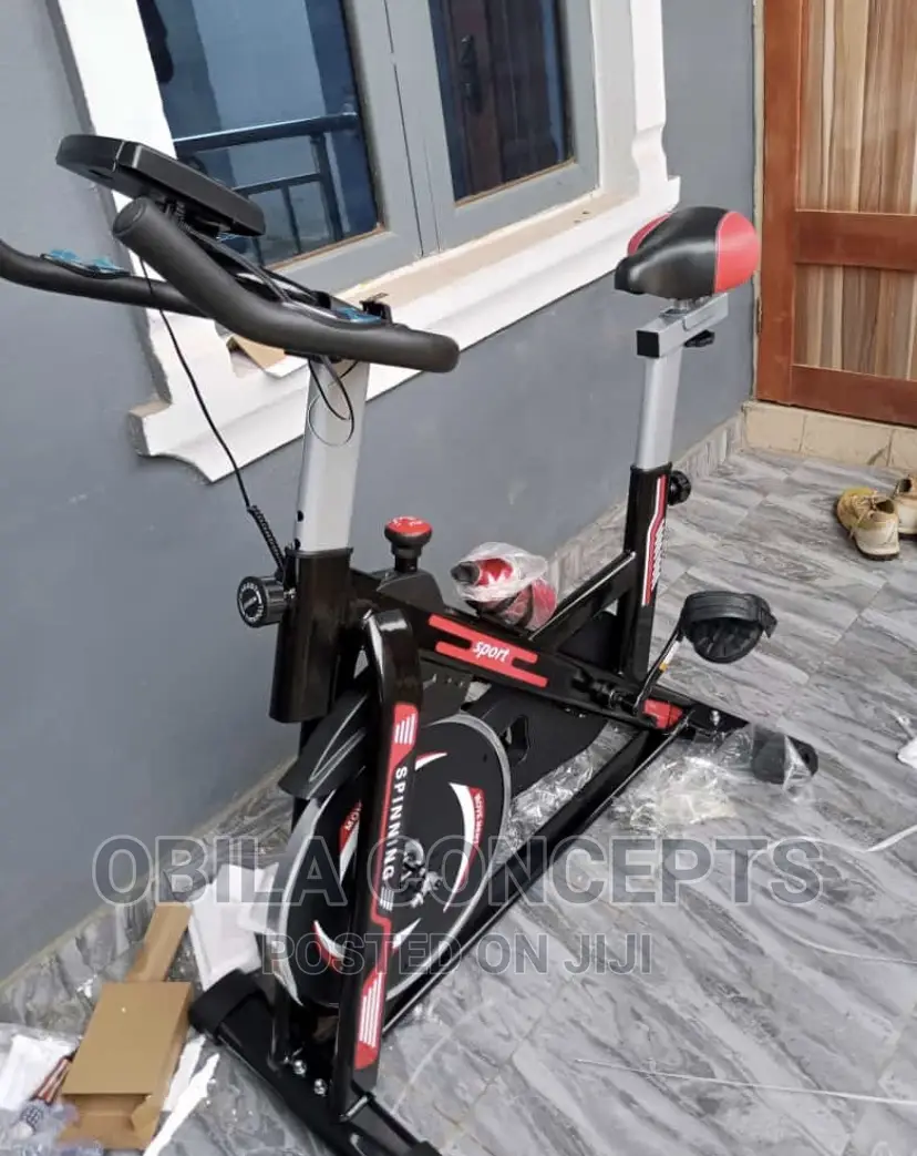 Manual Exercise Spinning Bike