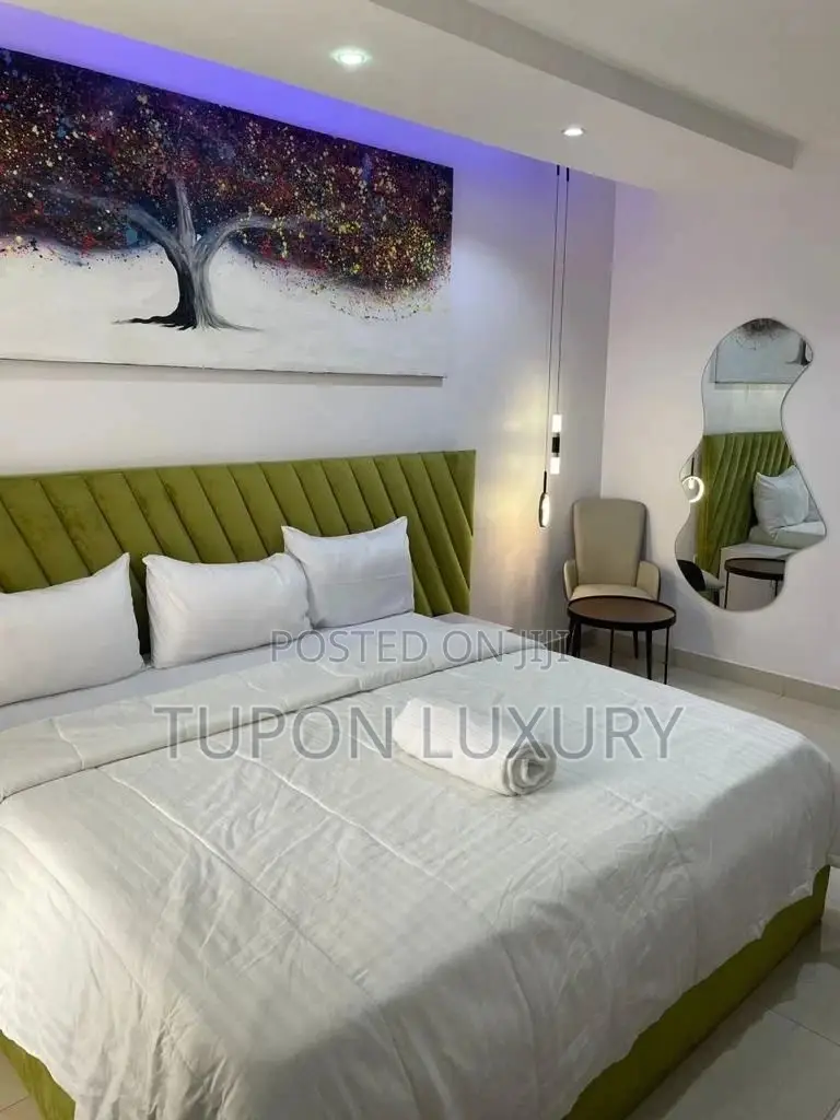 Luxury 2-Bedroom Apartment in Lekki Phase 1