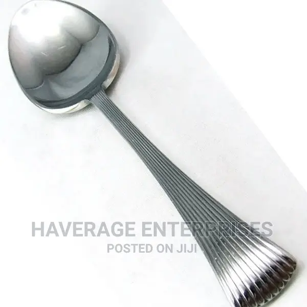 Quality Plastic Disposable Spoons 1,000pcs Silver/Black