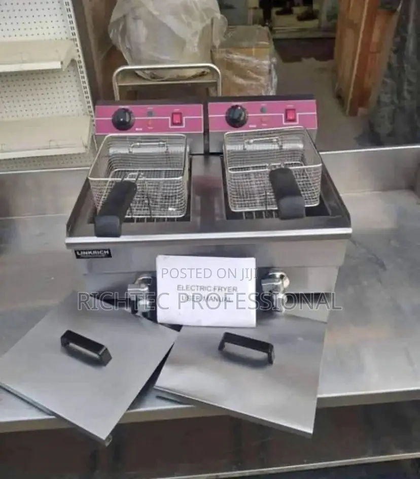 Electric Fryer