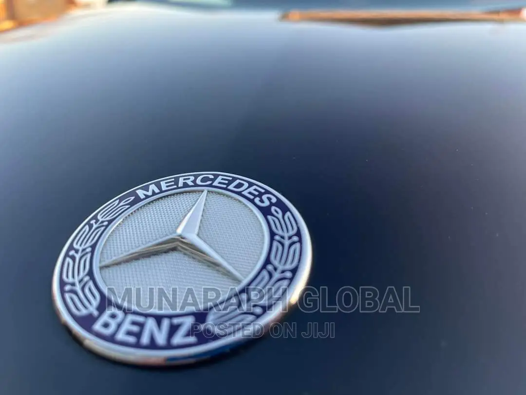 Mercedes Benz Bonnet Logo.