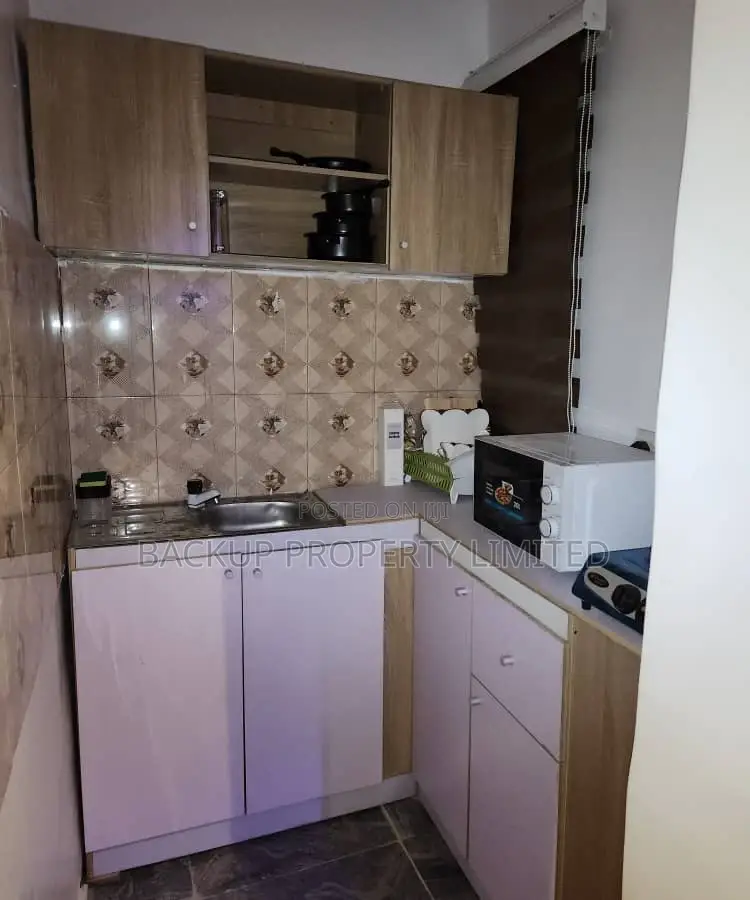 A Fully Furnished Studio Apartment