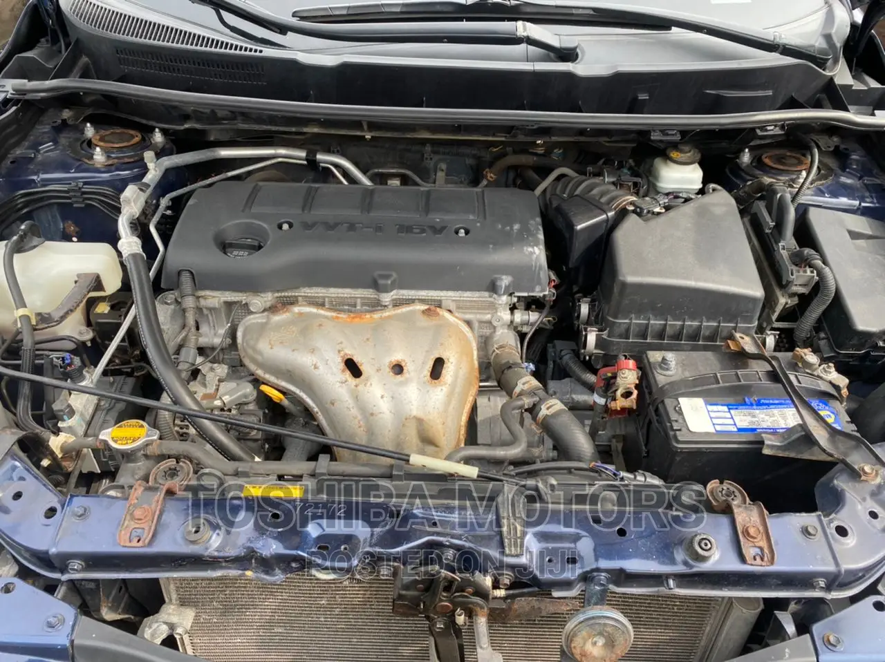 Toyota Matrix Hatchback FWD (1.8L 4cyl 5M) 2010 Blue