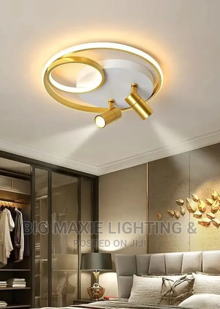 Modem Led Ceiling Lights Chandelier With Spot Light