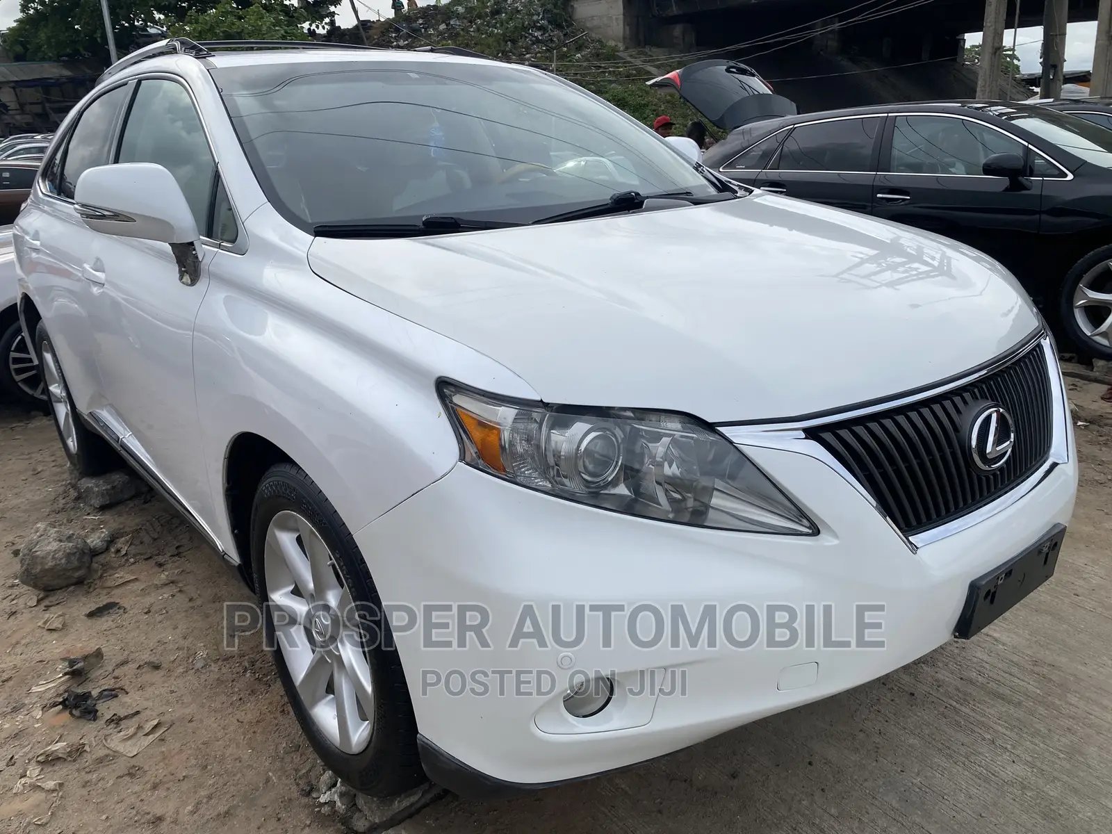 Lexus RX 2012 White