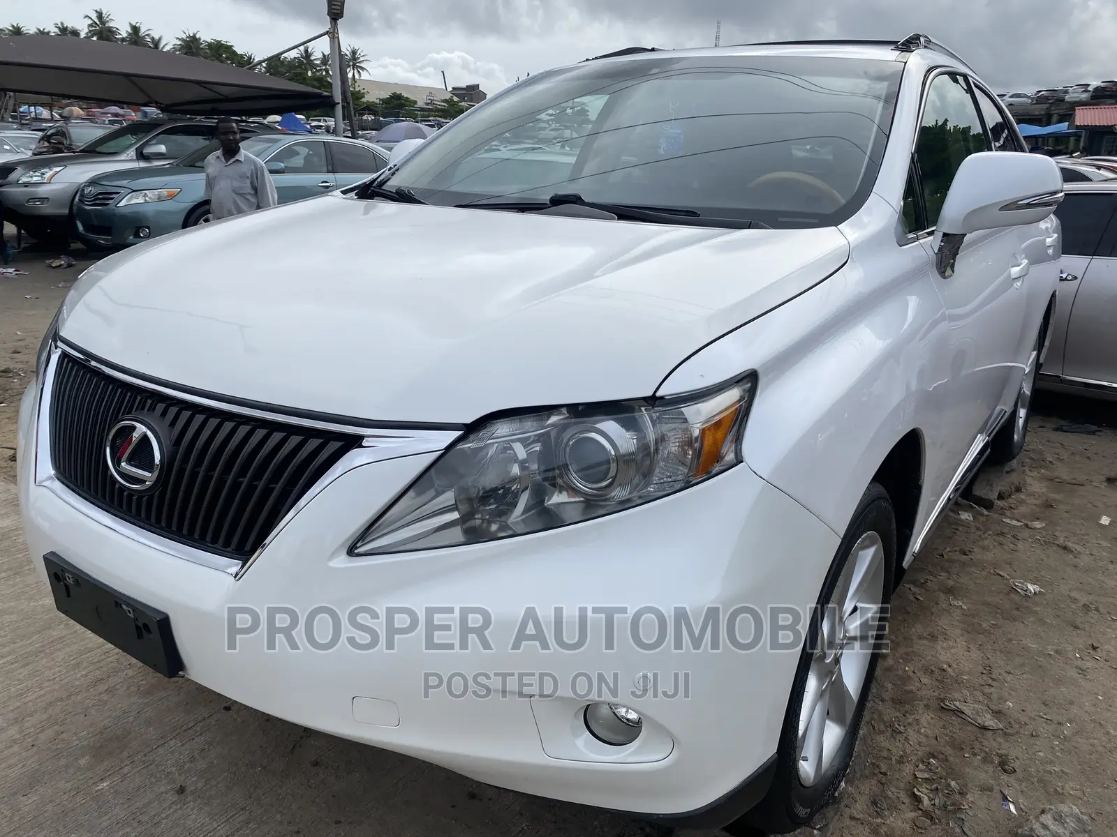 Lexus RX 2012 White