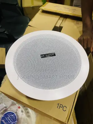 Bluetooth Ceiling/Pop Speakers