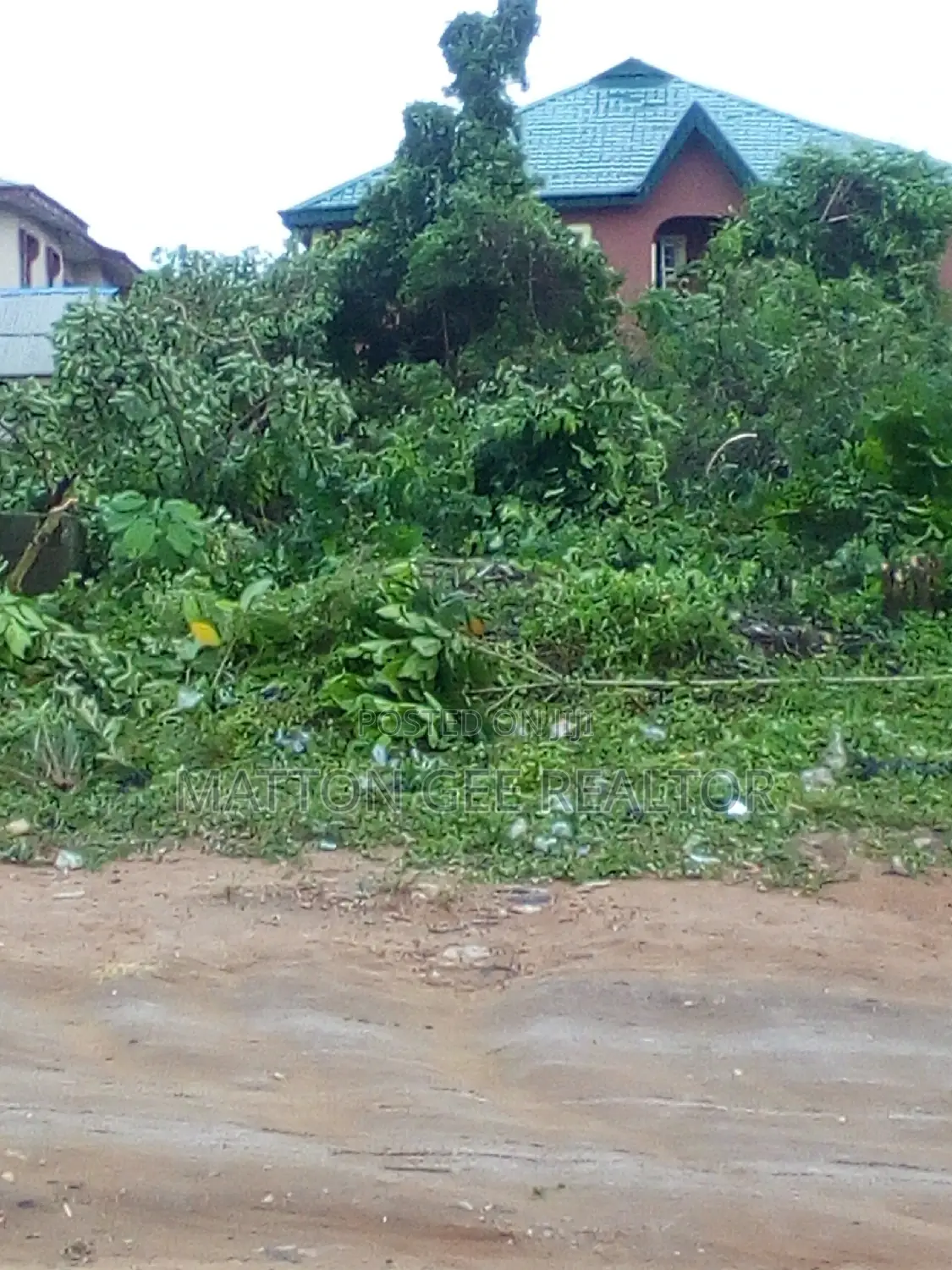 A Full Plot of Land