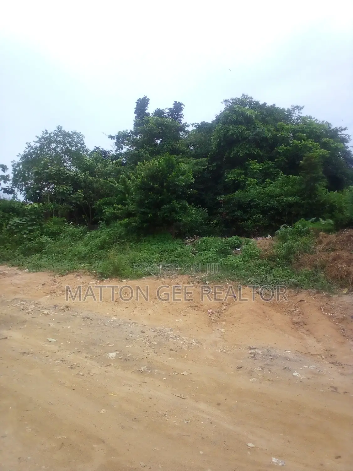A Full Plot of Land