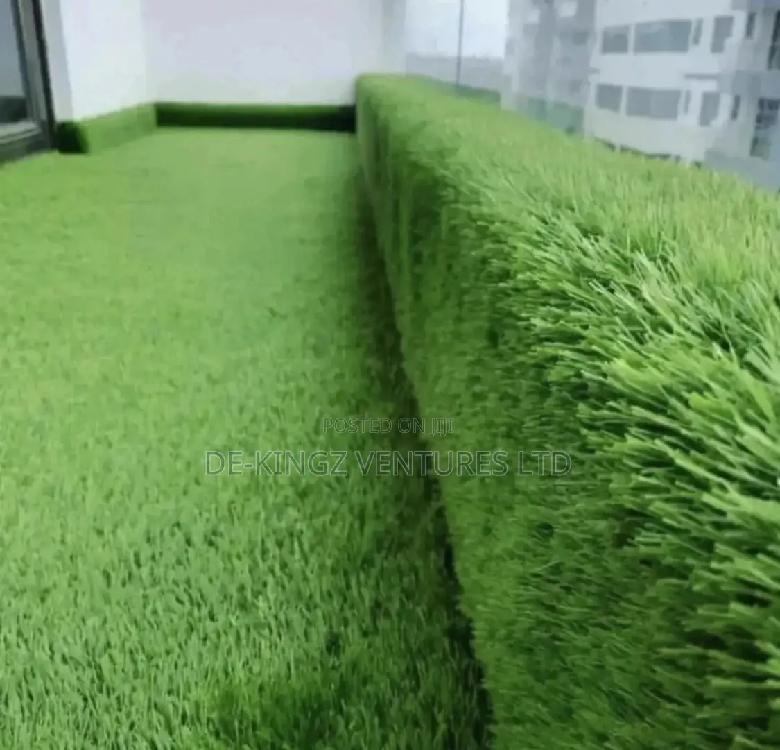 Carpet Grass 40mm Beauty of a Kind/Lawanson Surulere Lagos